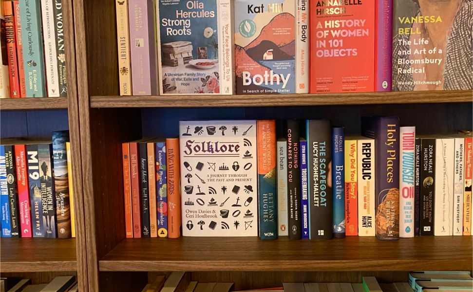 Books on book shelves up close