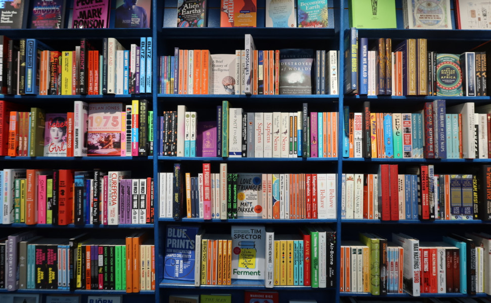 Books lined on bookshelves