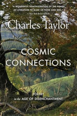 Cosmic Connections cover image