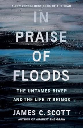 In Praise of Floods jacket image