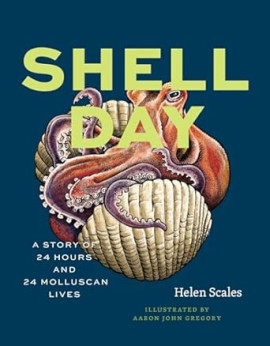 Shell Day jacket image