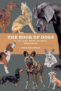 The Book of Dogs