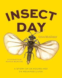 Insect Day